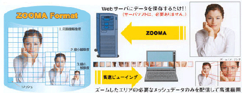 ZOOMA製品